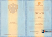 Специалист 2011-2013